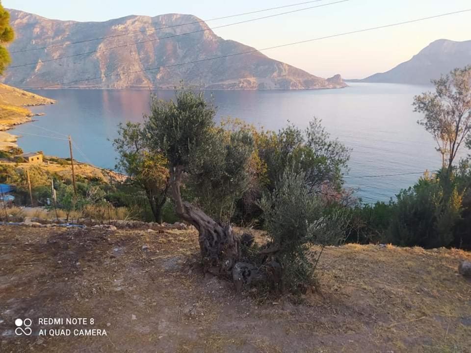 The Traditional House-Skalia,Kalymnos Екстер'єр фото