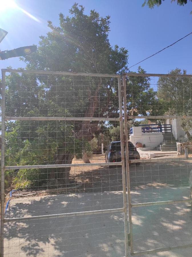 The Traditional House-Skalia,Kalymnos Екстер'єр фото